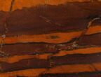 Polished Desert Sunset Banded Iron - Western Australia #132941-1